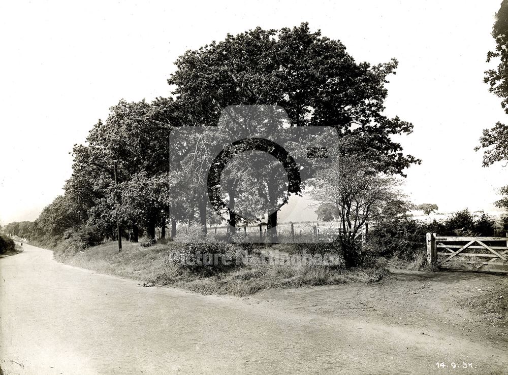 Arnold Road, Bestwood