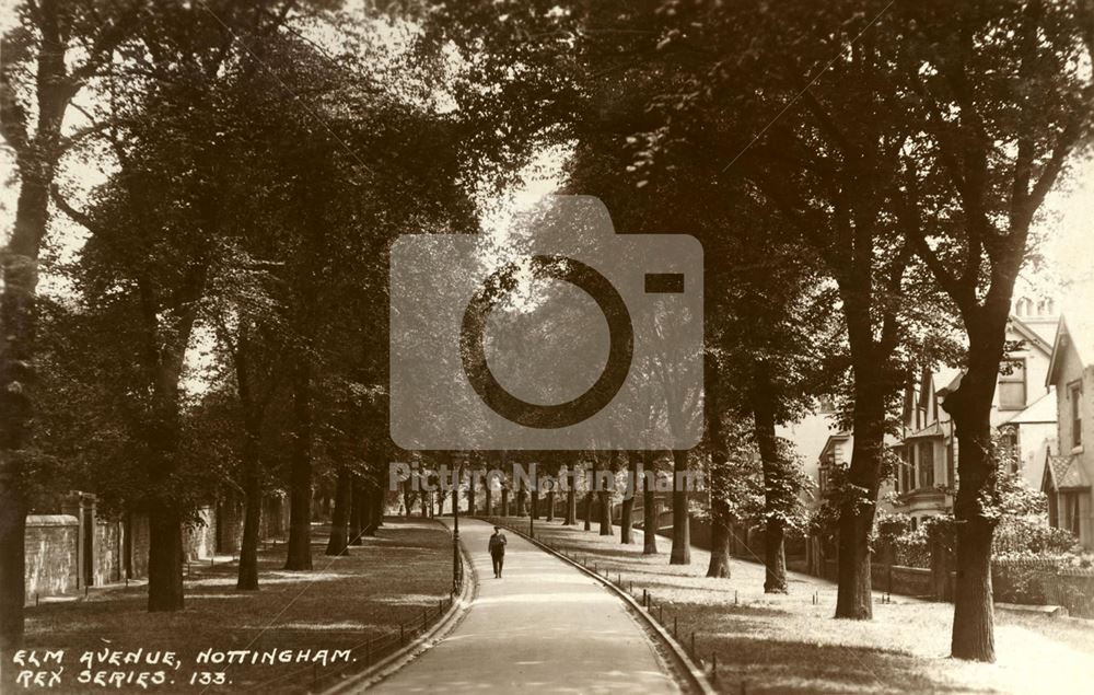 Elm Ave, St Ann's, Nottingham, c 1910s ?