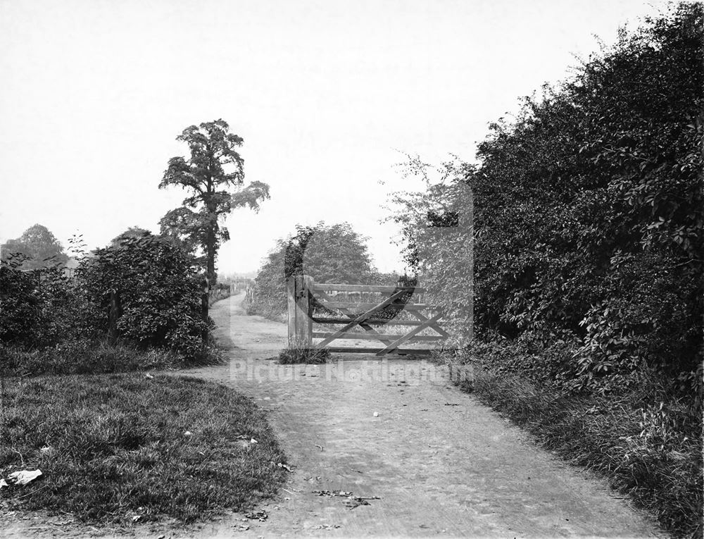 Radford Bridge Road