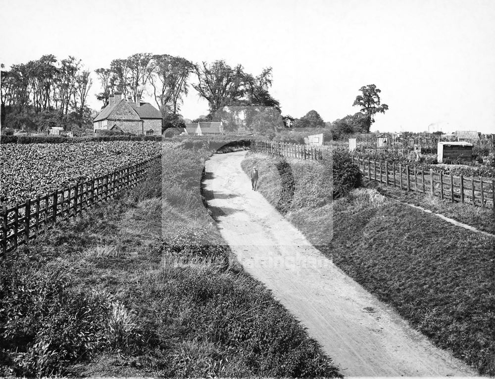 Radford Bridge Road