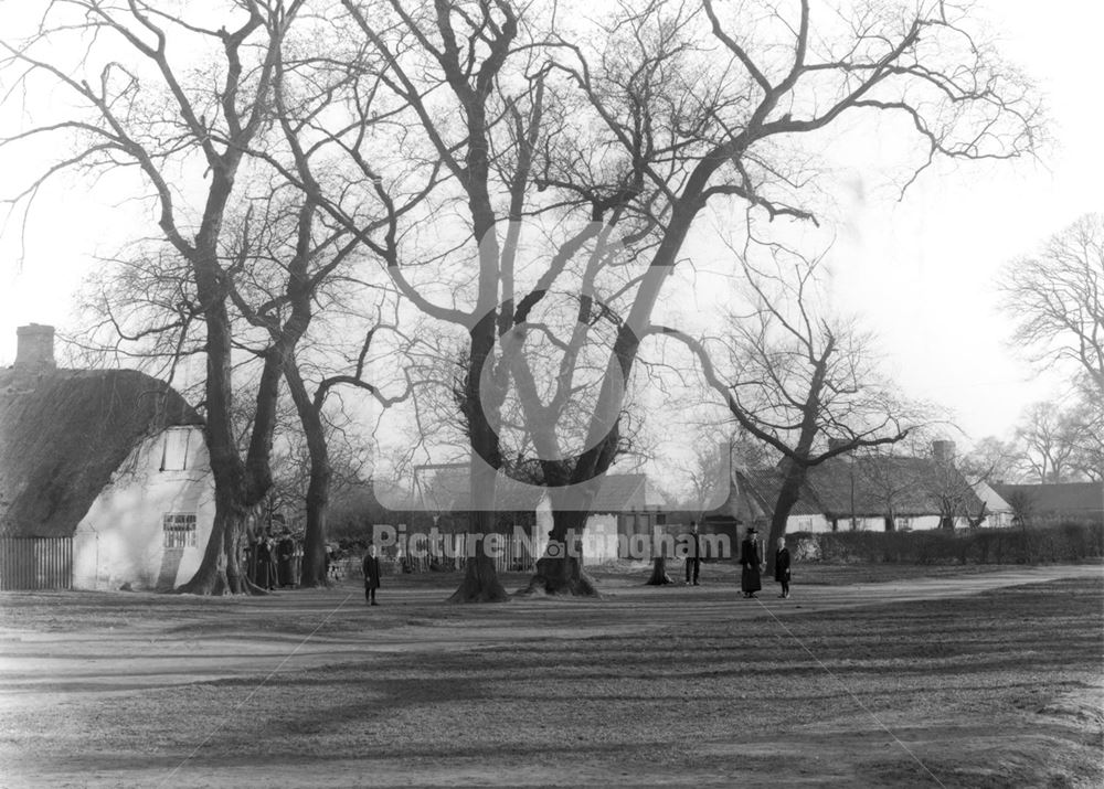 Clifton Village green