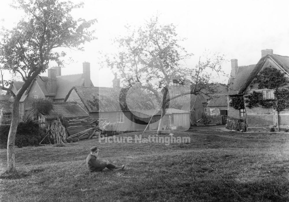 Clifton Village, boy in an orchard