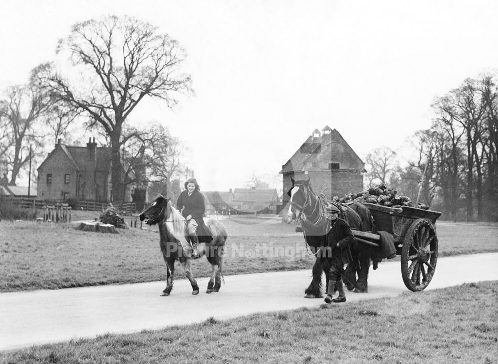 Clifton Village Green