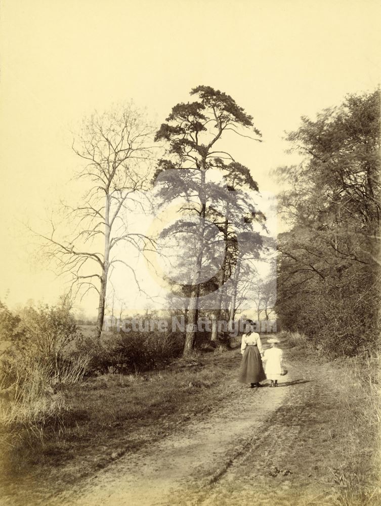 Woman and girl walking in a lane near Clifton