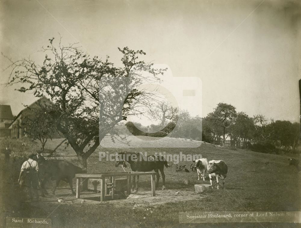 Sneinton Boulevard, Sneinton