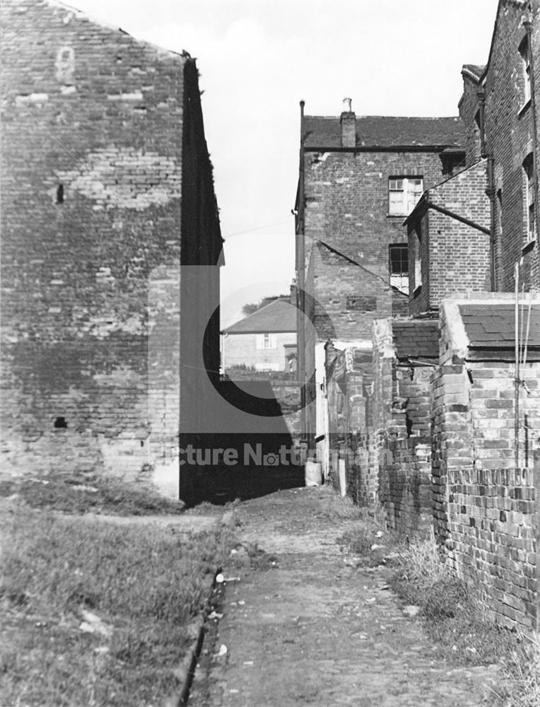 Ten Feet Street, Sneinton