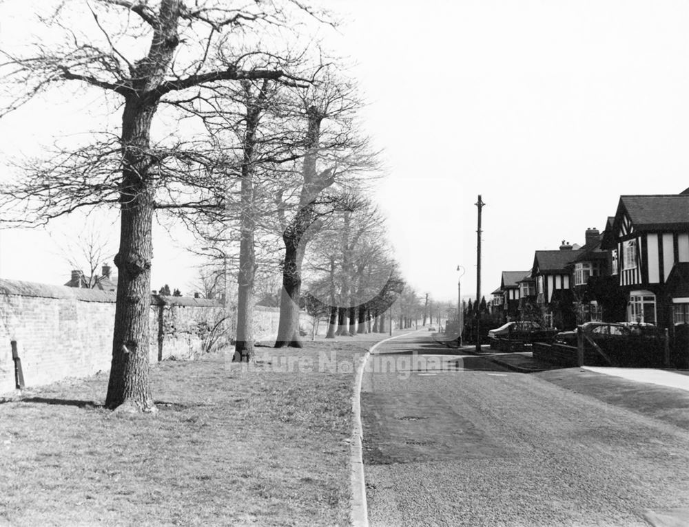 Wollaton Road, Nottingham