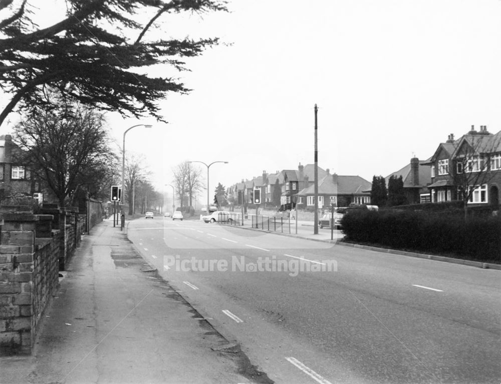 Wollaton Road, Nottingham