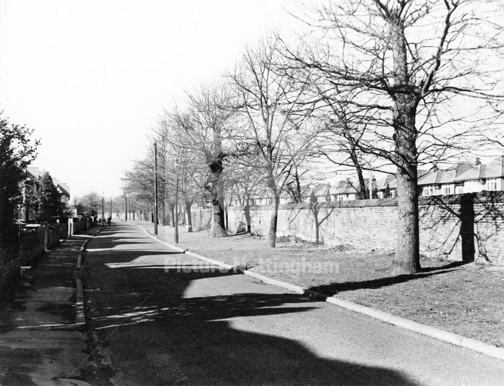 Wollaton Road, Nottingham