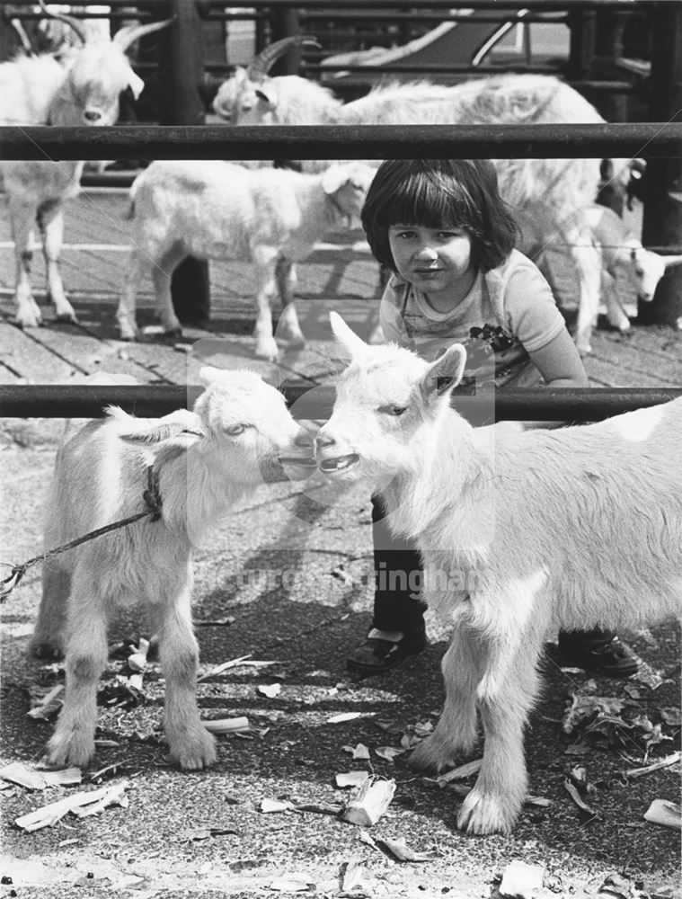 Cattle Market, Nottingham