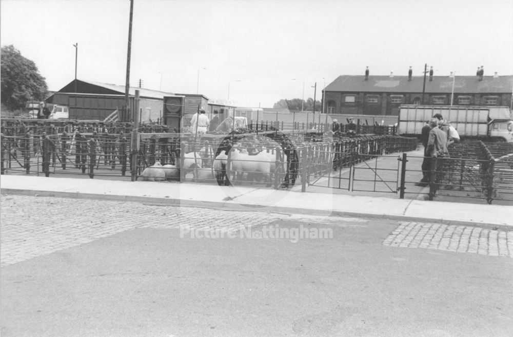 The Cattle Market, Meadow Lane 1980