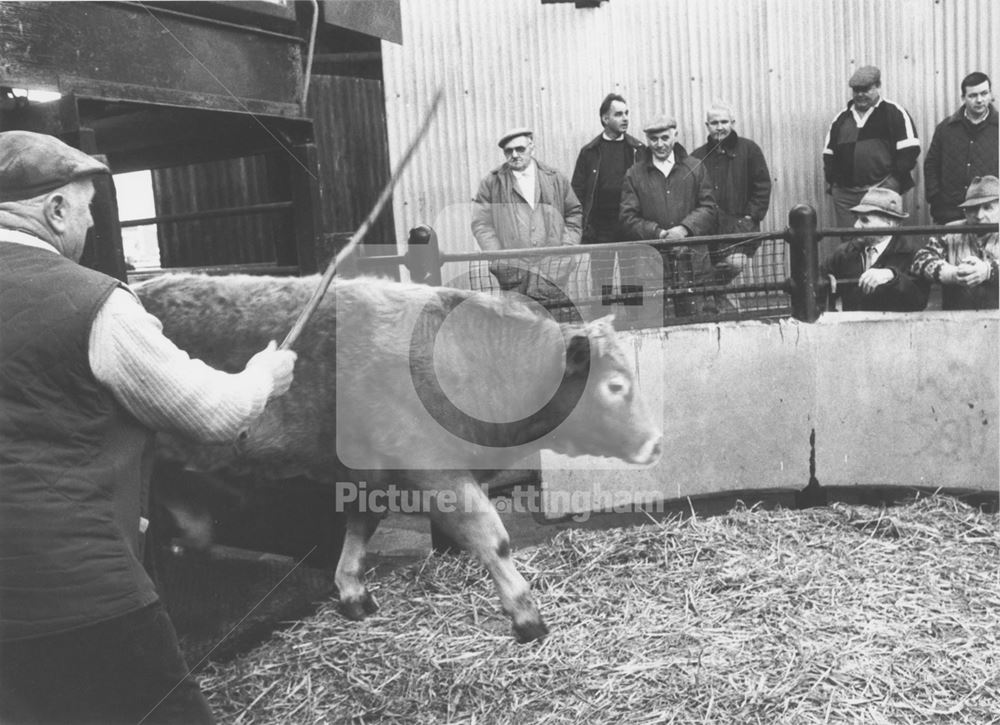 The Cattle Market, Market Road, Nottingham, 1993