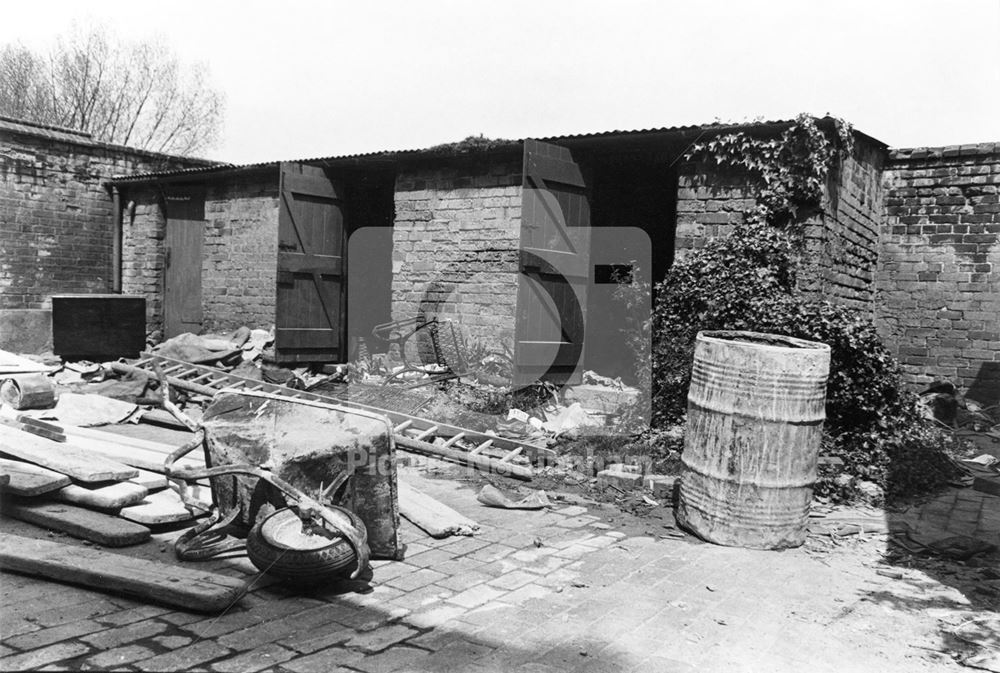 Canning Terrace - yard 1977