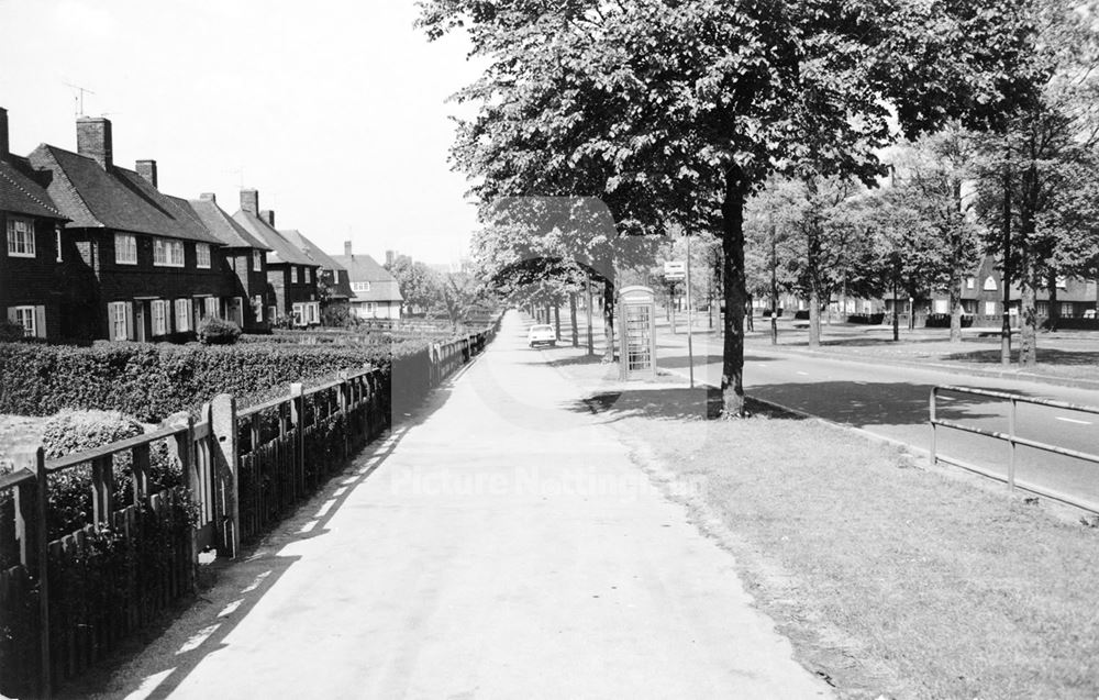 Council Housing on Western Boulevard