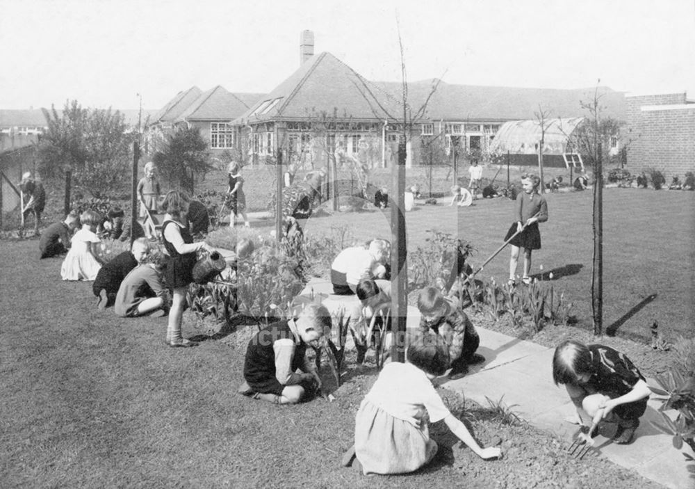 William Crane Schools - Children gardening