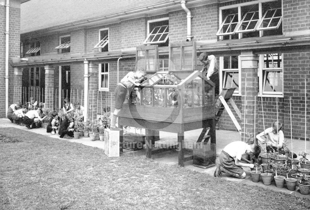 William Crane Schools - Senior boys gardening