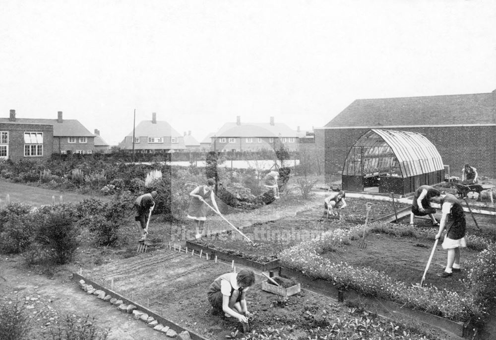 William Crane Schools - Children gardening