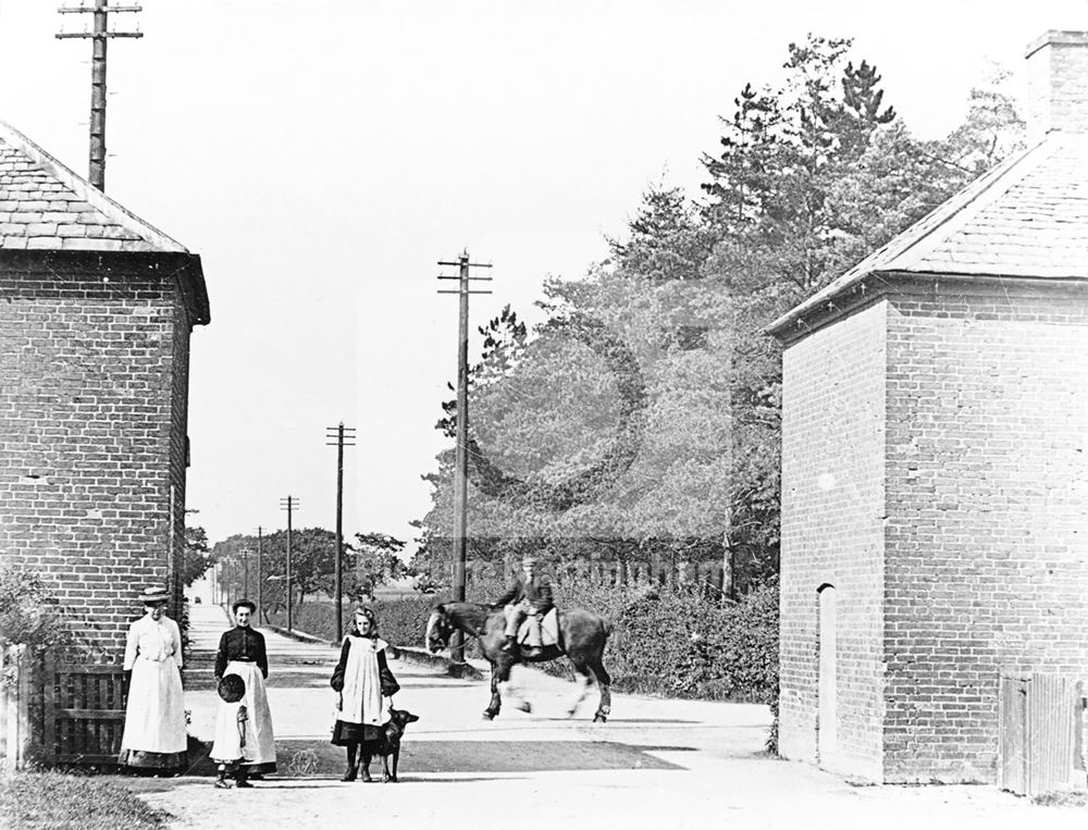 Balloon Houses, Wollaton, Nottingham, c 1900s