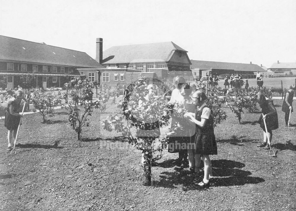 William Crane School - training the fruit trees