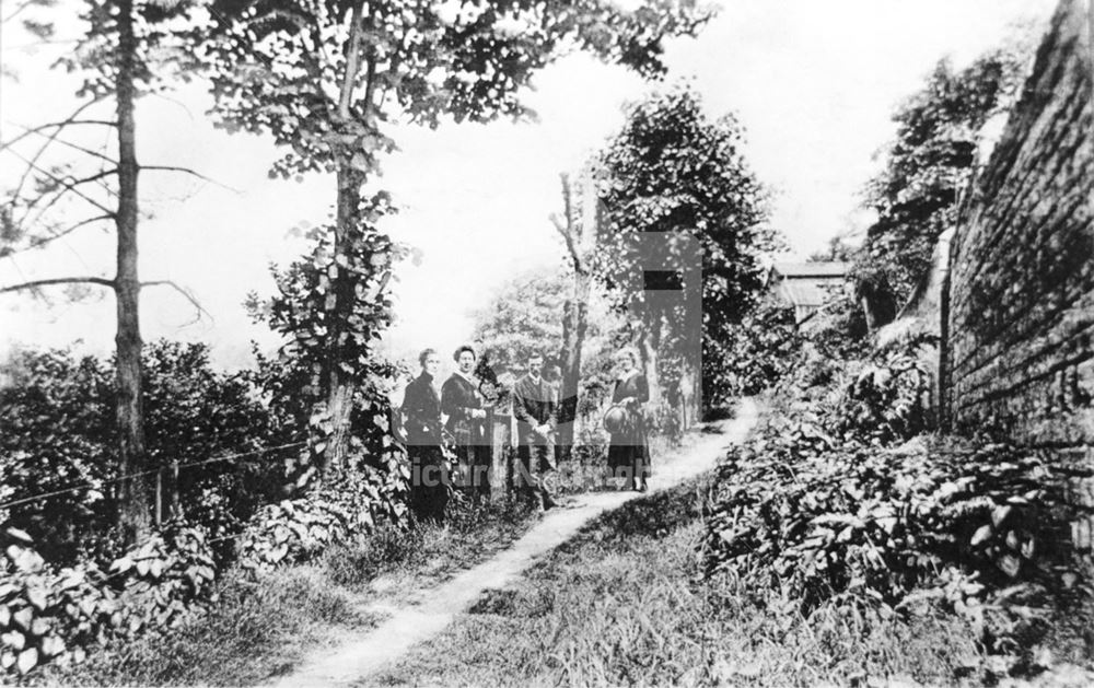 Western House School - path to the tennis courts