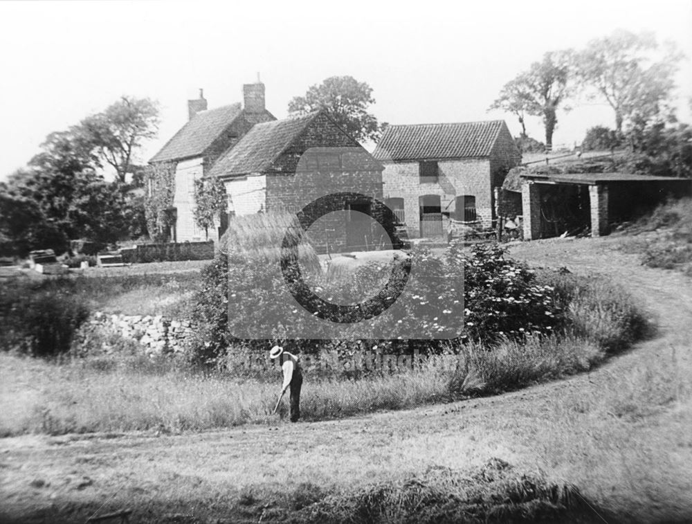 Blenheim Farm, Bulwell