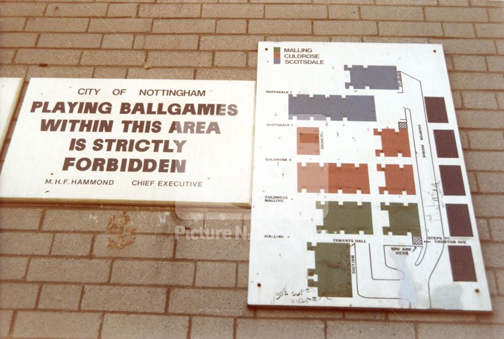 Plan of tenements on Caunton Avenue