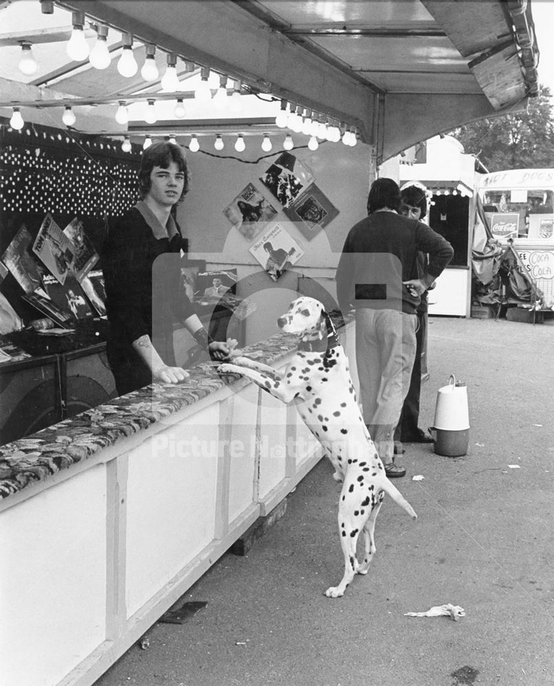 Goose Fair - Dalmatian dog at a Throwing-darts-to-win-records-as-prizes stall