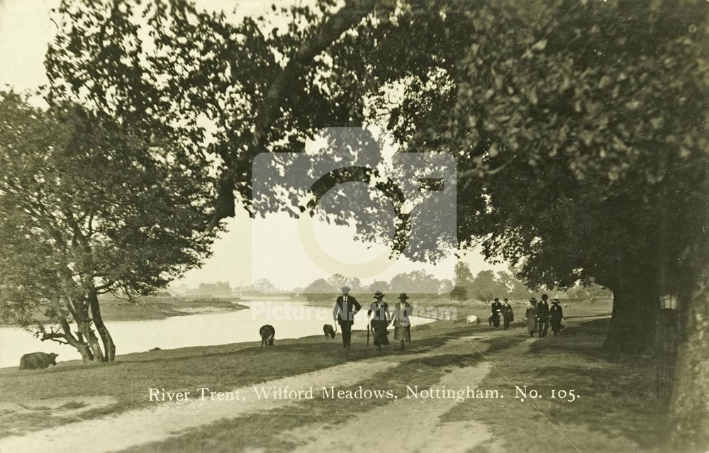 Wilford Meadows, River Trent