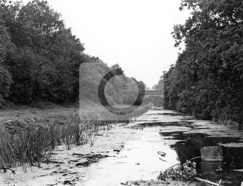 Bridges over the Nottingham Canal, Bramcote Moor