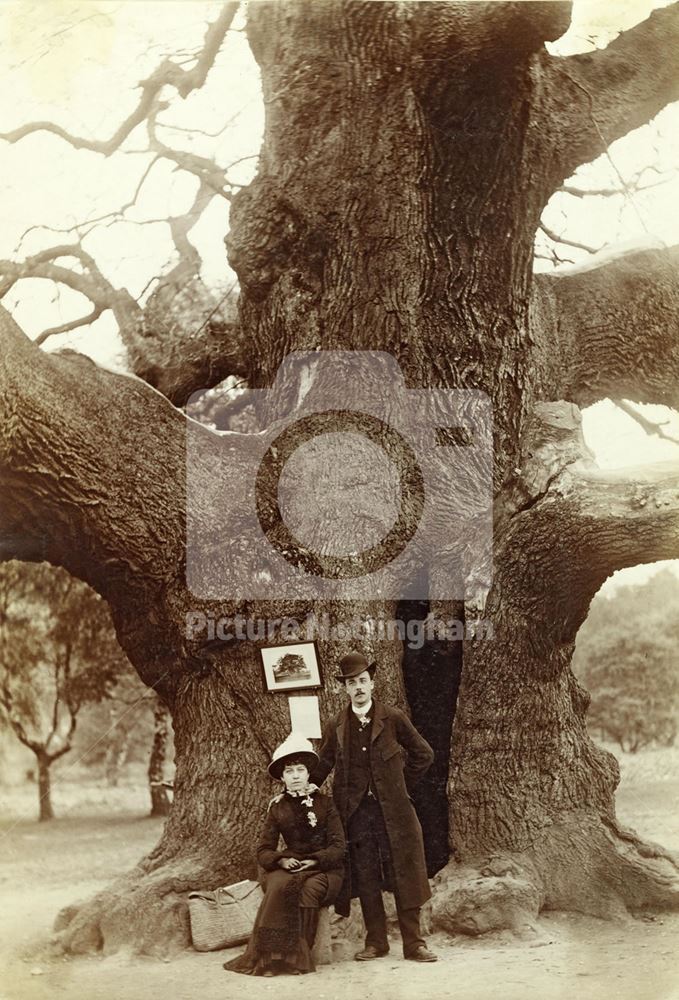 The Major Oak, Sherwood Forest, Edwinstowe, 1885