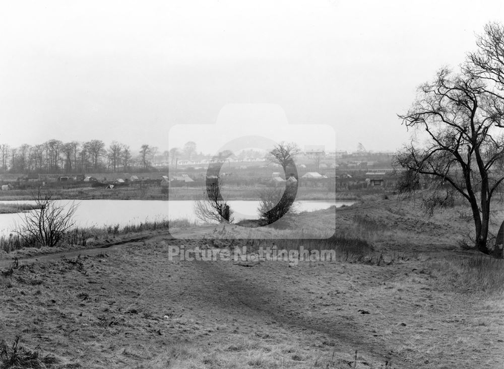 Martin's Pond, Wollaton