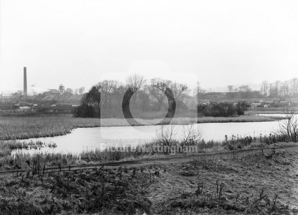 Martin's Pond, Wollaton