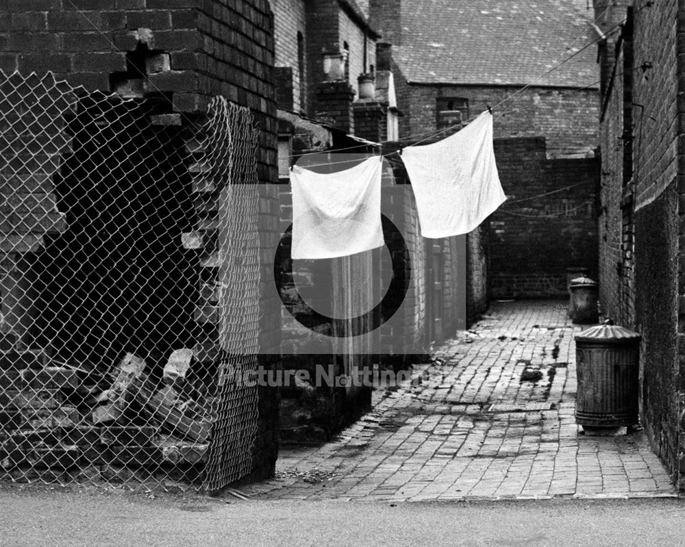 Back yards off Eugene Street