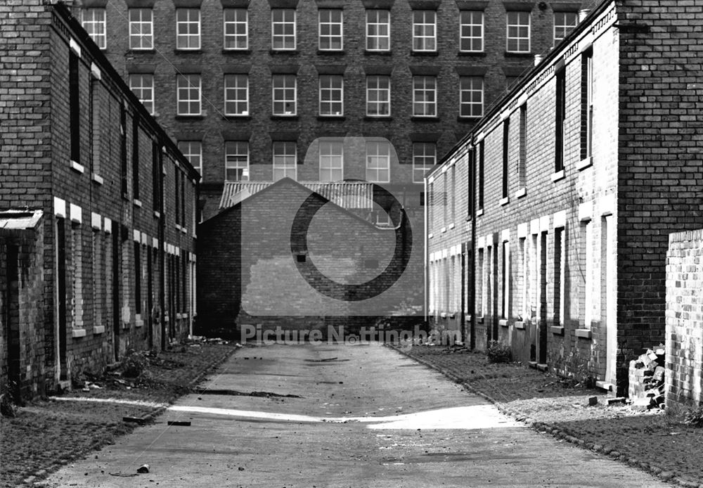 Harry Terrace, off Crocus Street