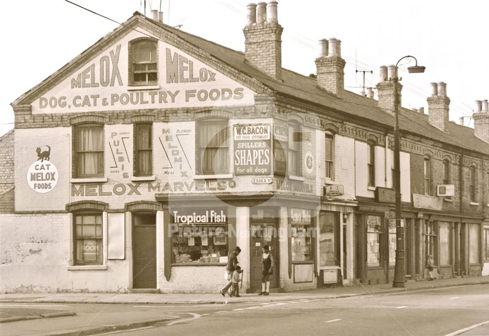 Pet food supplies shop, Wilford Street - Essex Street corner