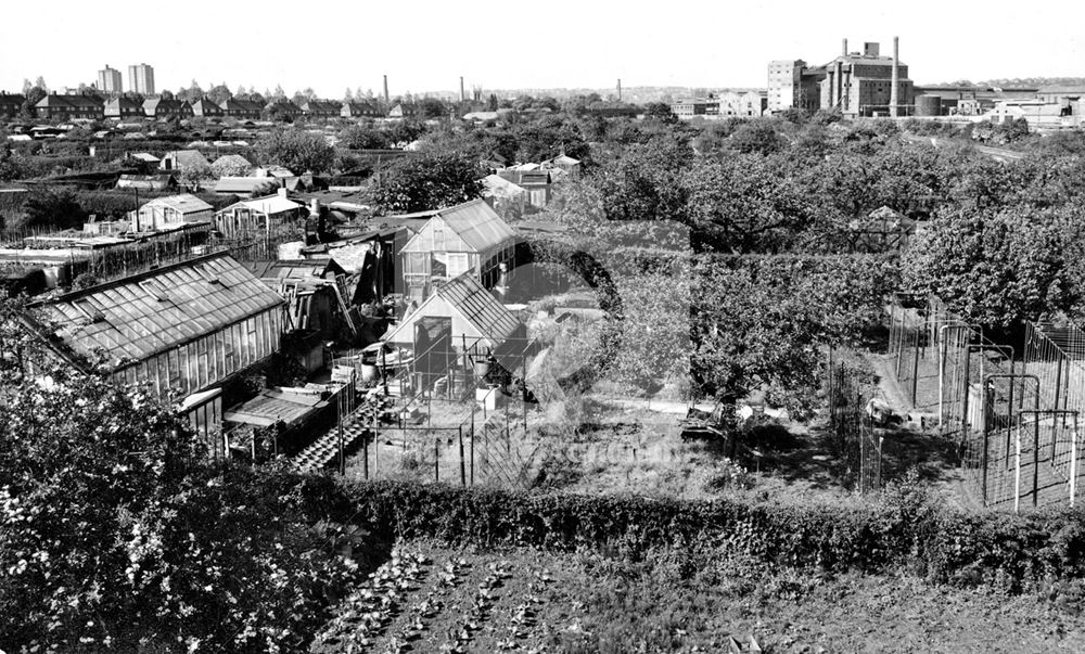 Allotments, Wilkinson Street, Basford