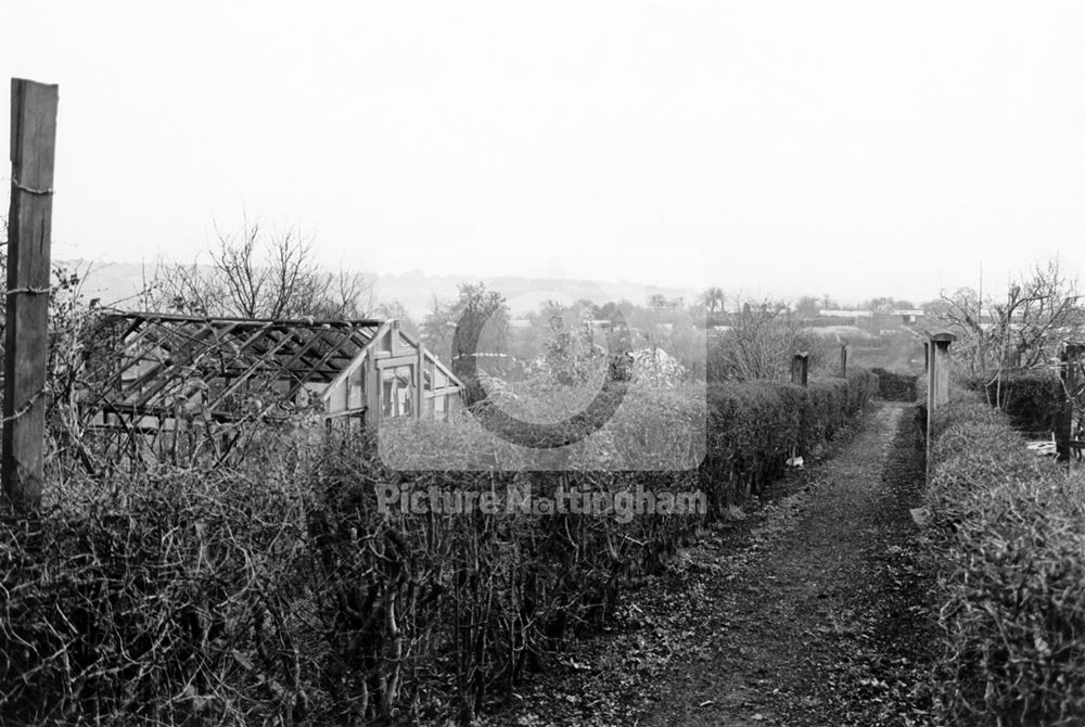 Hungerhill Gardens, St Ann's