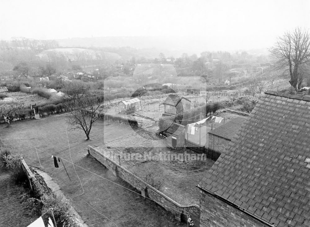 Hungerhill Gardens, St Ann's - Looking from Alexandra Park