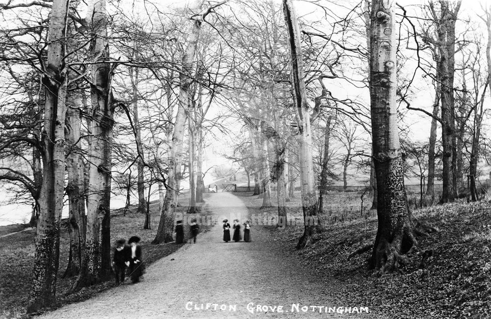 Clifton Grove (with graffiti on trees)