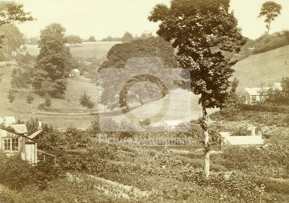 Hungerhill Gardens, St Ann's