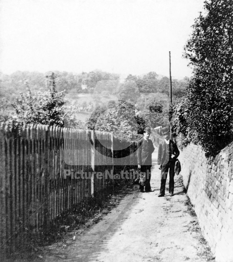 Hungerhill Gardens, St Ann's - looking towards Alexandra Park from Sycamore Road