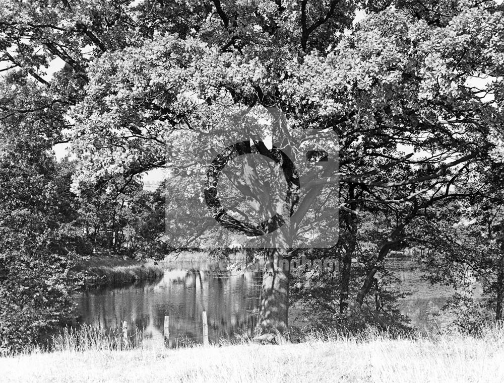 Felley Mill Pond, Underwood