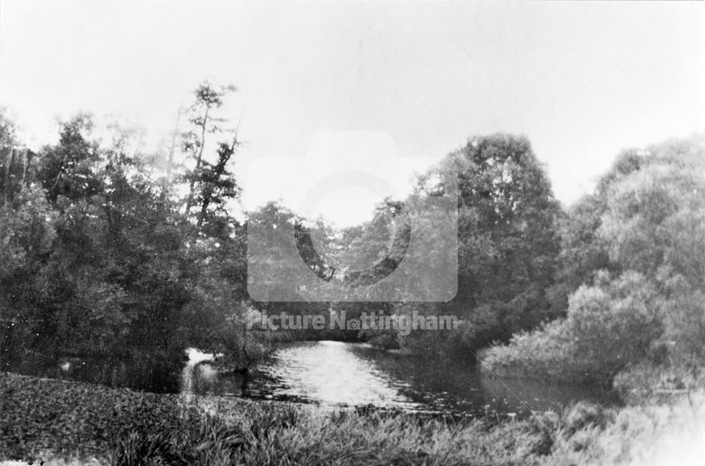 Felley Mill Pond, Underwood