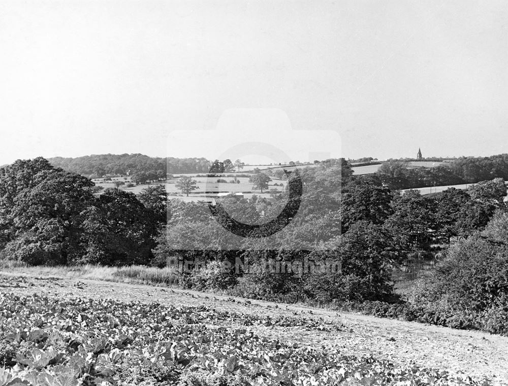 View from above Felley Mill