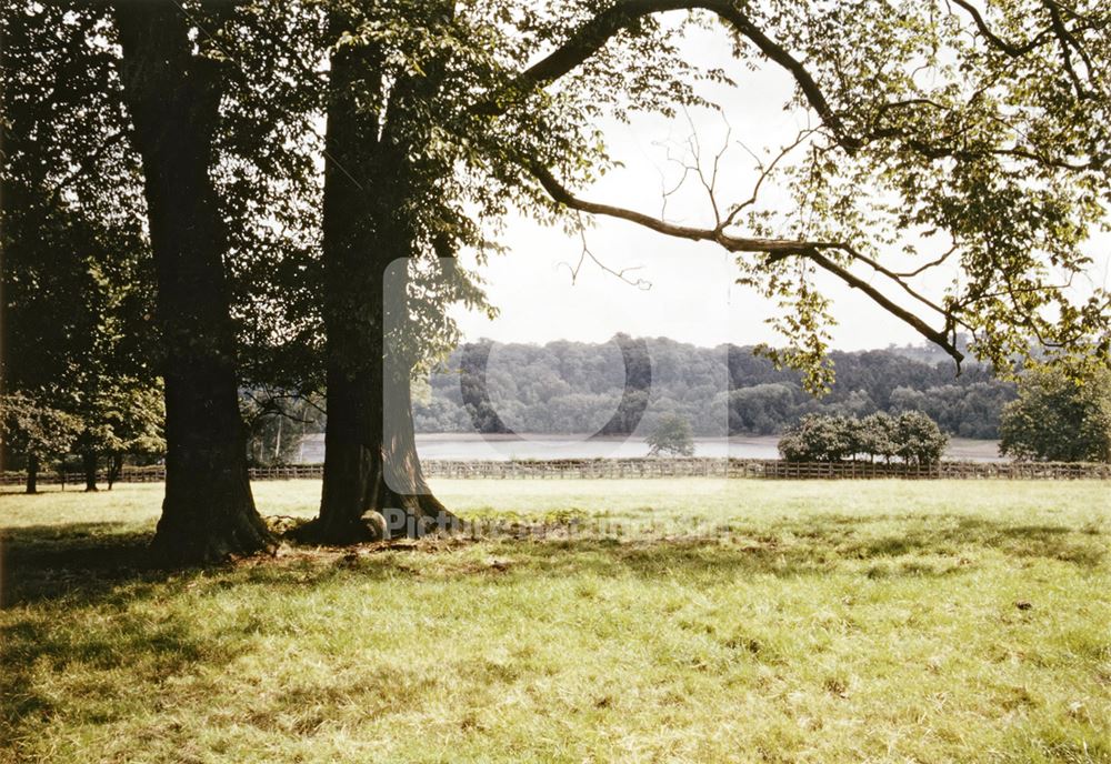 Moorgreen Reservoir, Moorgreen