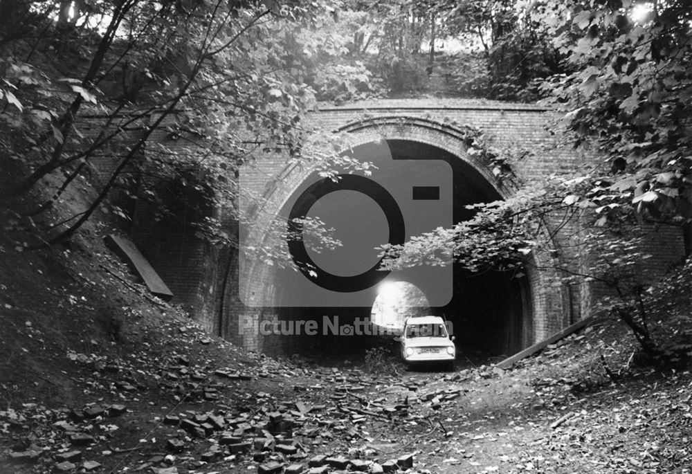 Ashwell's tunnel in Woodthorpe Grange Park