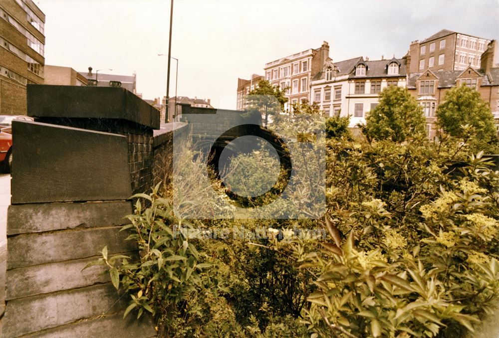 Overgrown 'Victoria Street' Great Central Railway Tunnel at Weekday Cross Junction