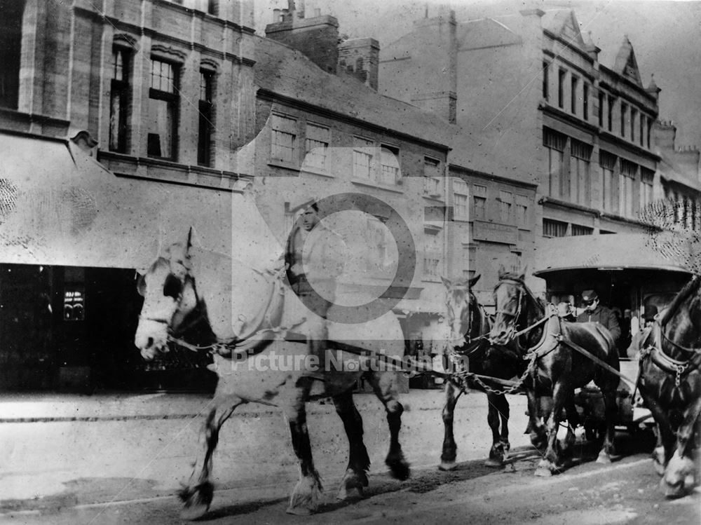 A large cock horse pulling a horse tram up Derby Road