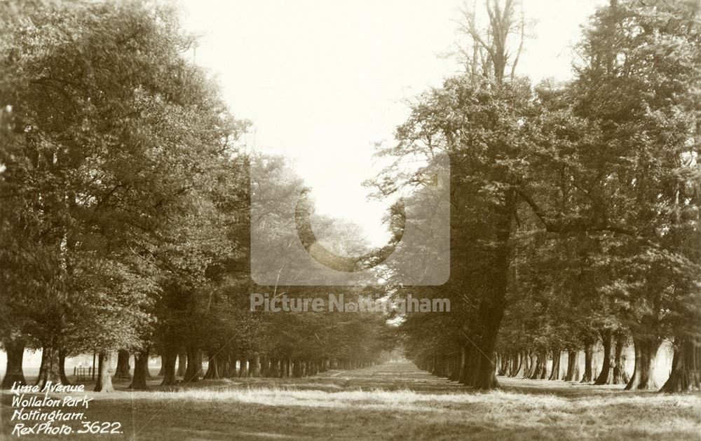 Wollaton Hall - Lime Tree Avenue