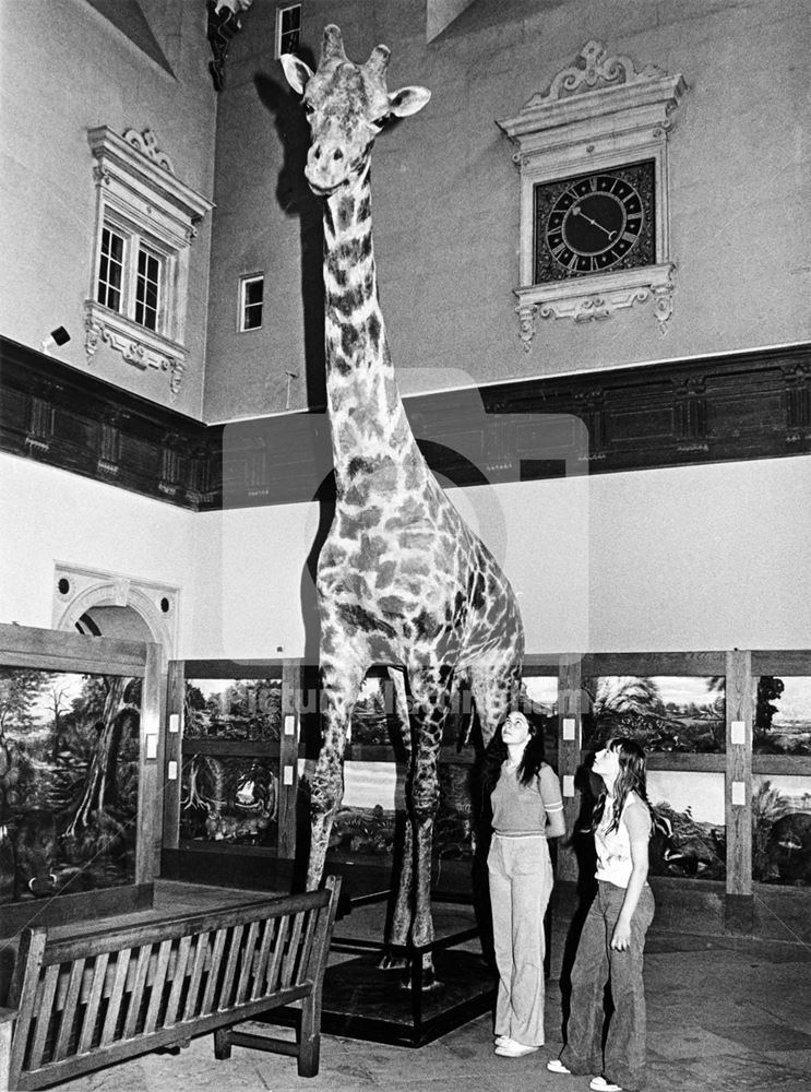 Main Hall with Natural History Museum exhibits